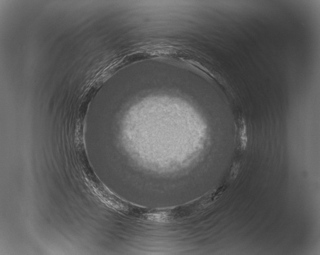 X0000085080411200703261303