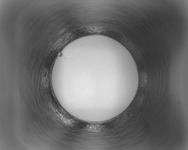 X0000085080414200703261303