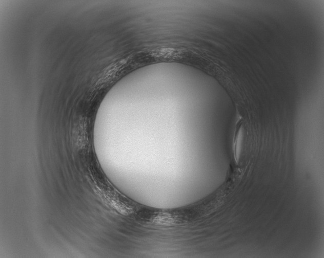 X0000085080416200703261303