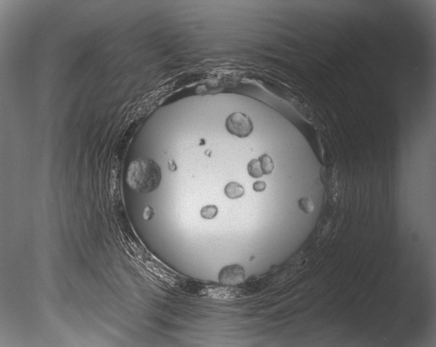 X0000085080417200703261303