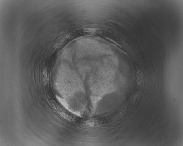 X0000085080420200703261303