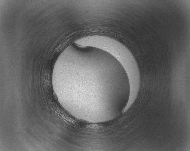 X0000085080421200703261303