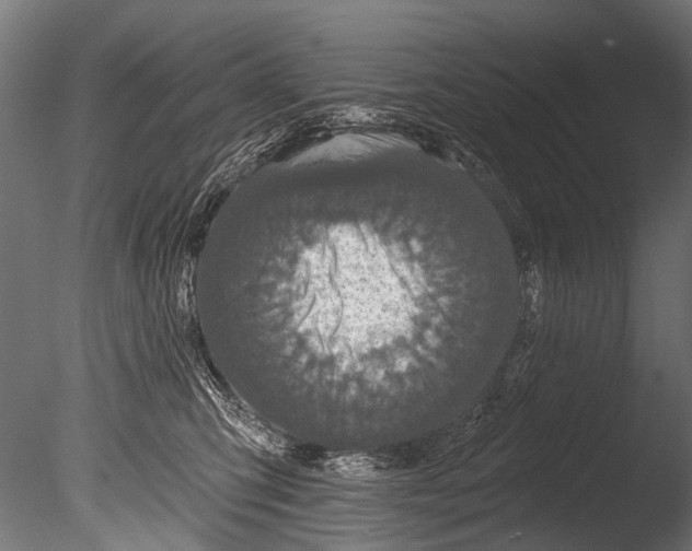 X0000085080423200703261303