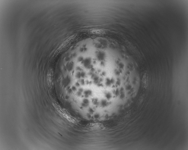 X0000085080424200703261303