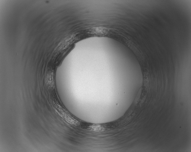 X0000085080425200703261303