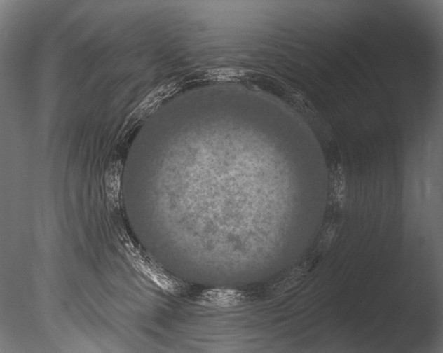 X0000085080427200703261303