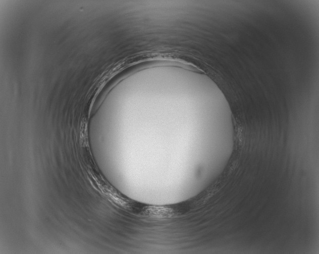 X0000085080429200703261303