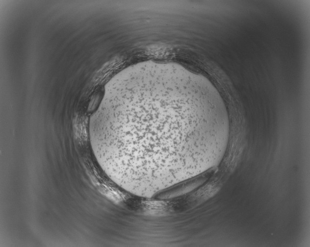 X0000085080432200703261303