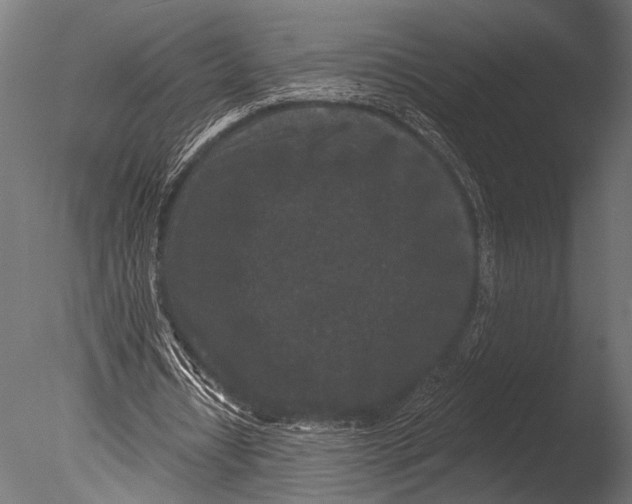 X0000085080434200703261302