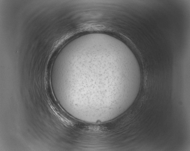 X0000085080439200703261302