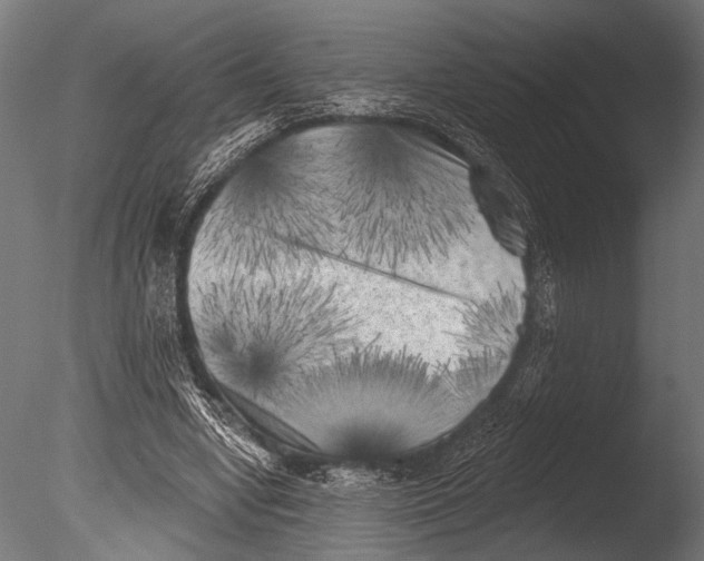 X0000085080442200703261302