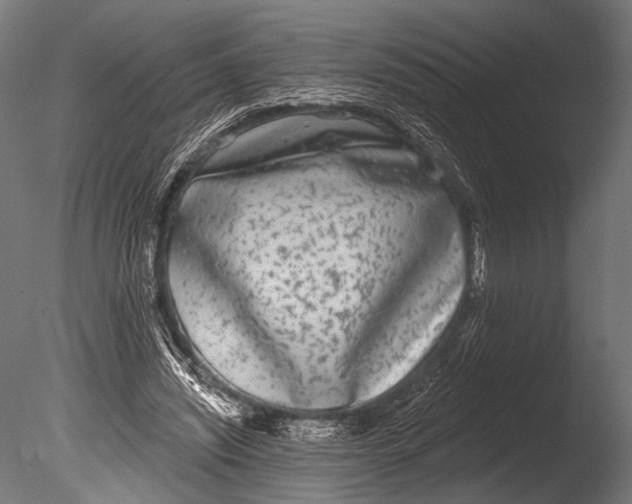 X0000085080444200703261302