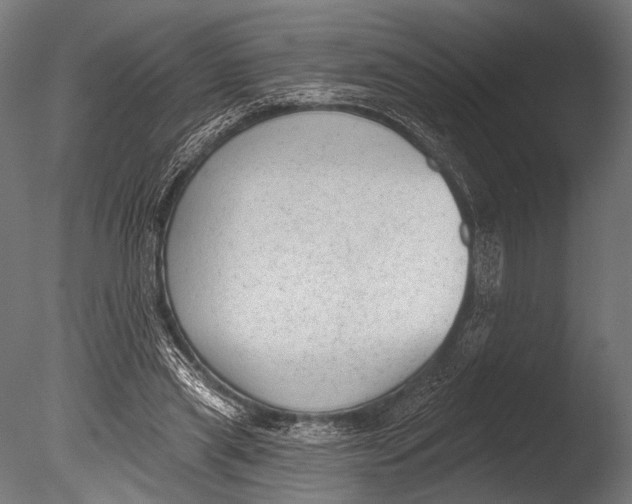 X0000085080445200703261302