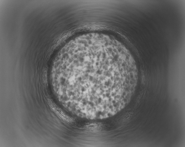 X0000085080447200703261302