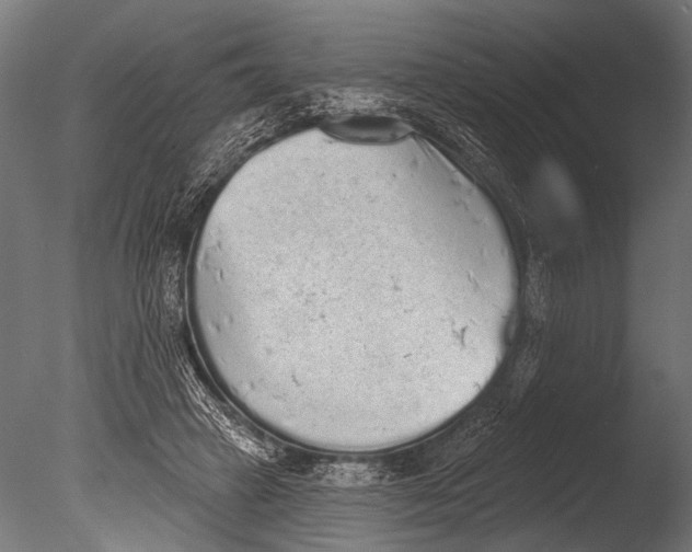 X0000085080449200703261302