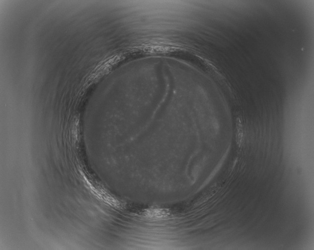 X0000085080451200703261302