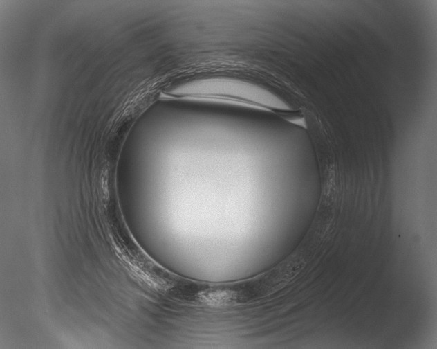 X0000085080452200703261302