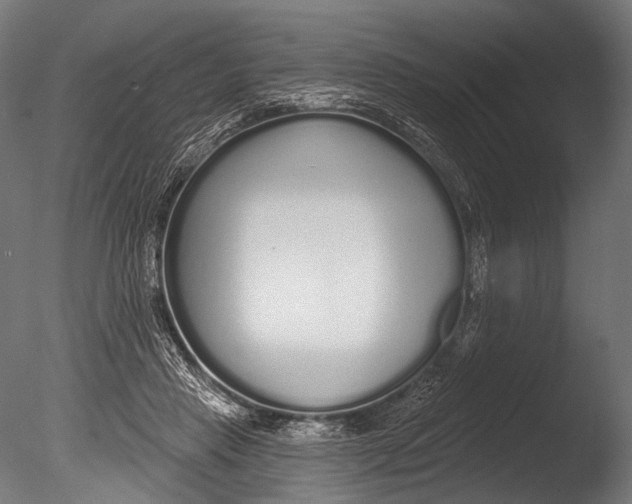 X0000085080453200703261302