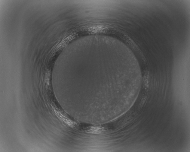 X0000085080458200703261303