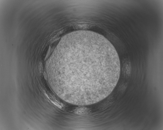 X0000085080459200703261303