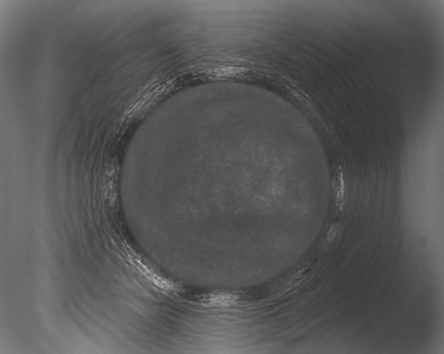 X0000085080462200703261303