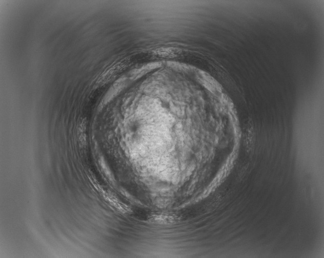 X0000085080466200703261303