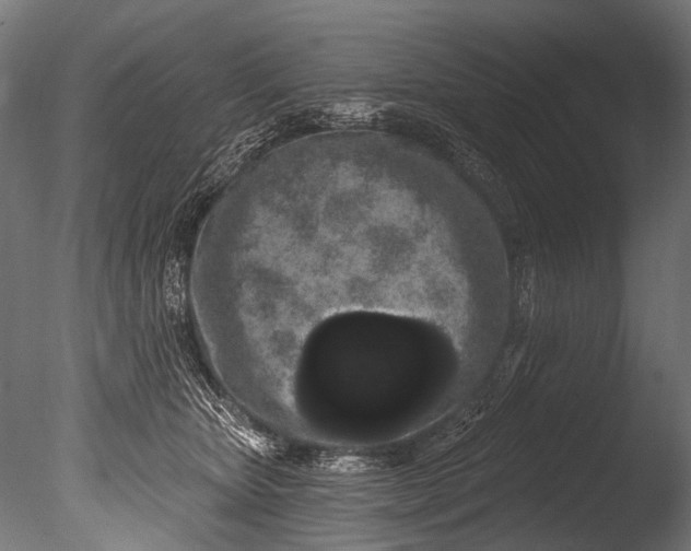 X0000085080467200703261303