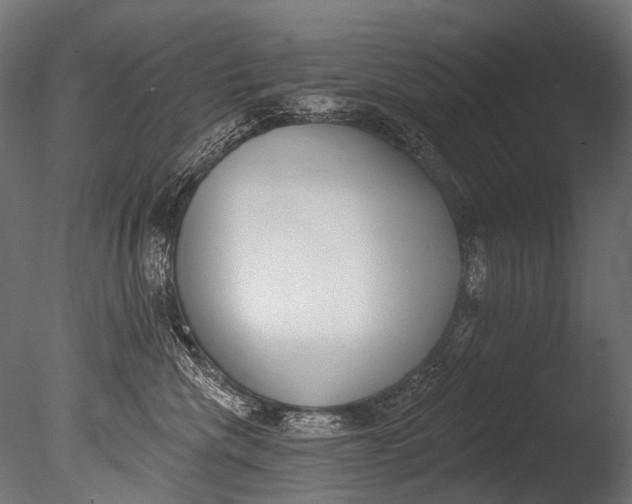 X0000085080476200703261303