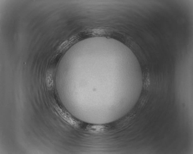 X0000085080478200703261303