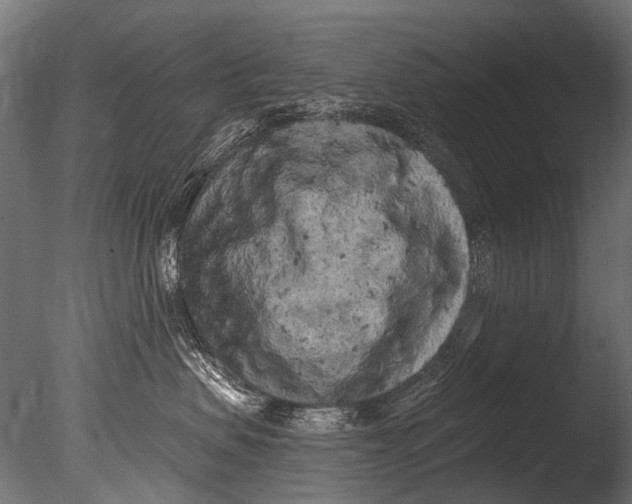 X0000085080479200703261303