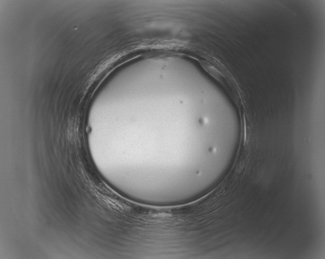 X0000085080483200703261302