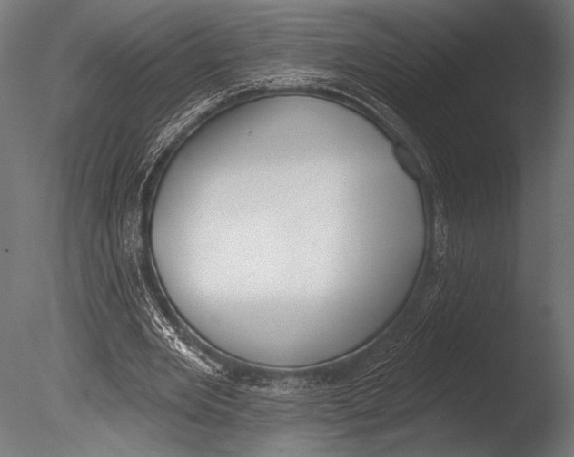 X0000085080485200703261302