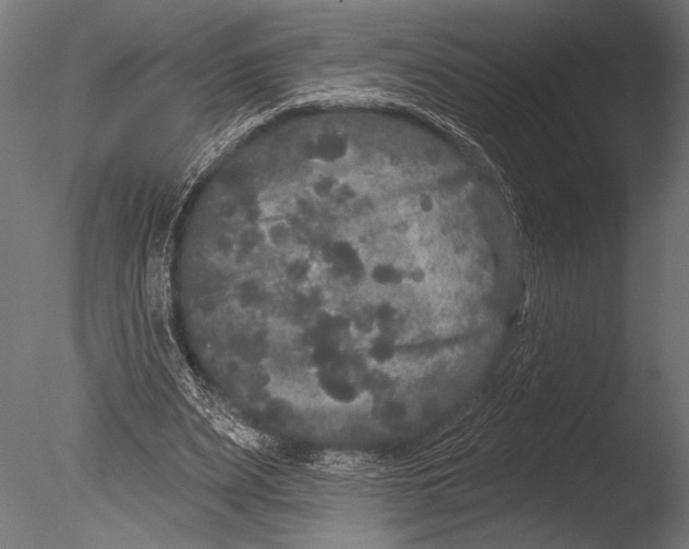 X0000085080487200703261302