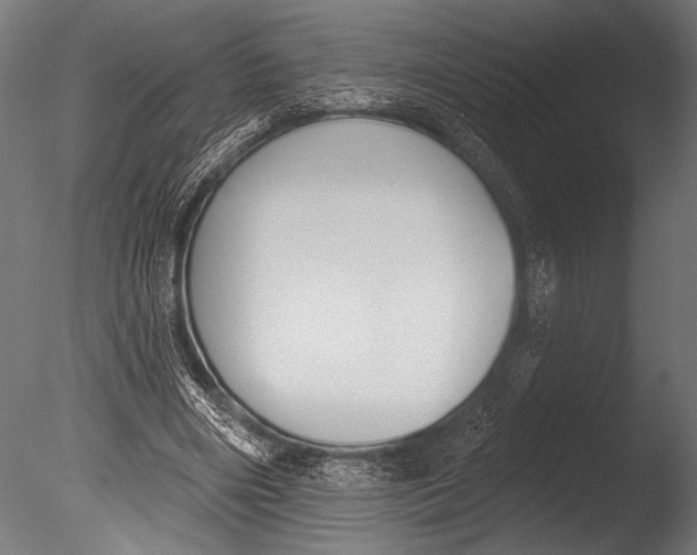 X0000085080490200703261302