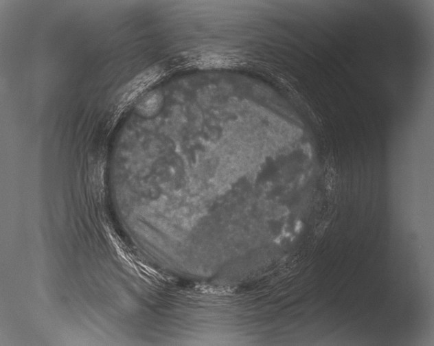 X0000085080491200703261302