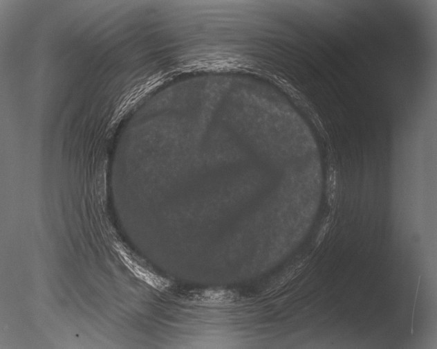 X0000085080493200703261302