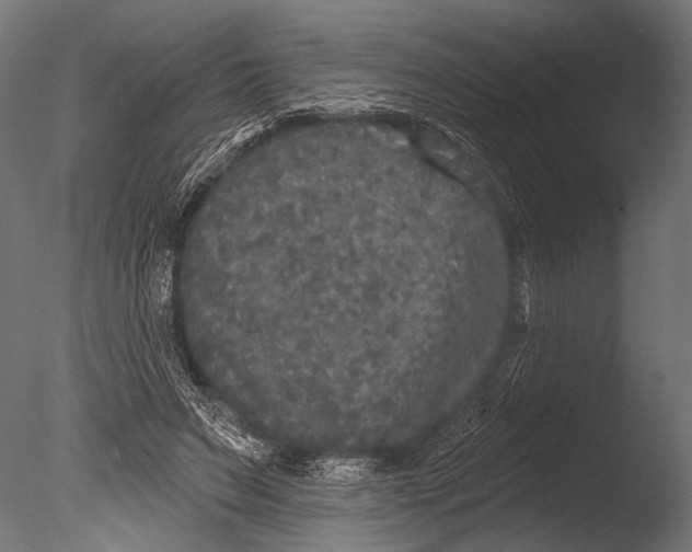 X0000085080495200703261302