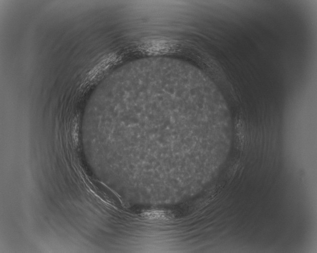 X0000085080499200703261302