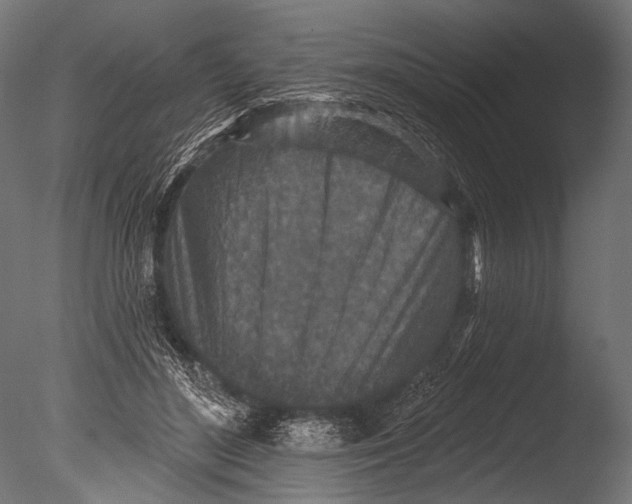 X0000085080500200703261302