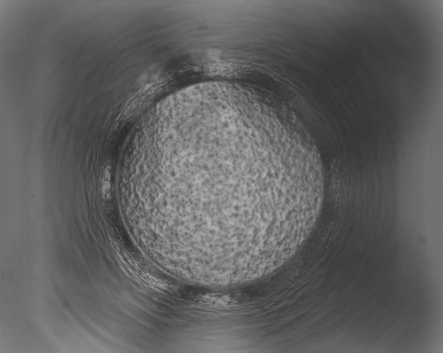 X0000085080502200703261302