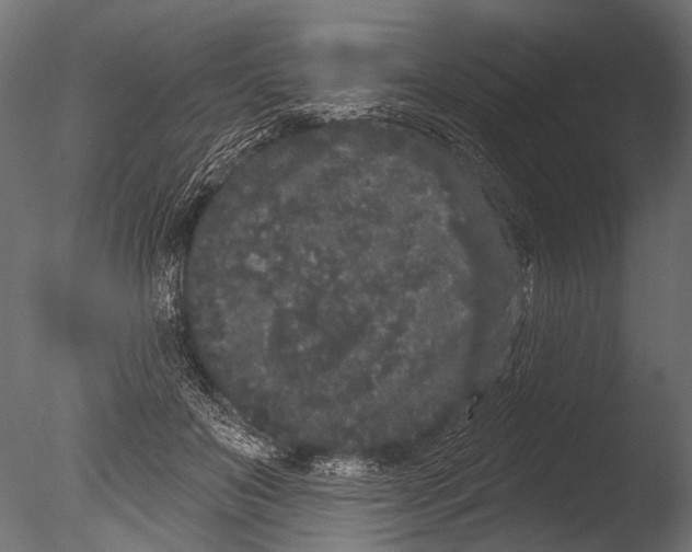 X0000085080503200703261302