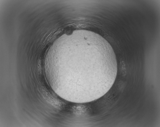 X0000085080506200703261302