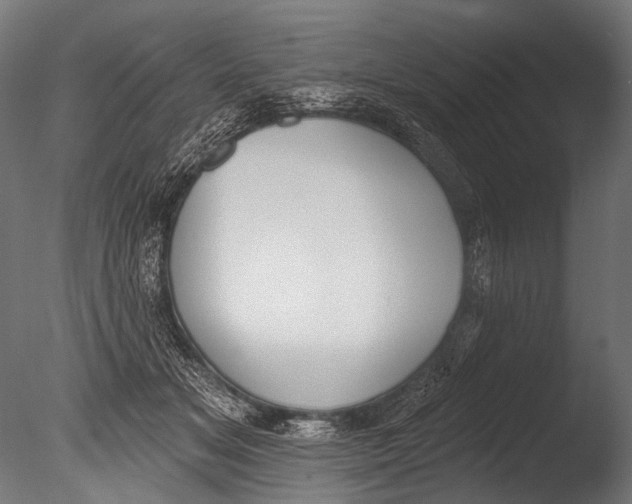 X0000085080509200703261302