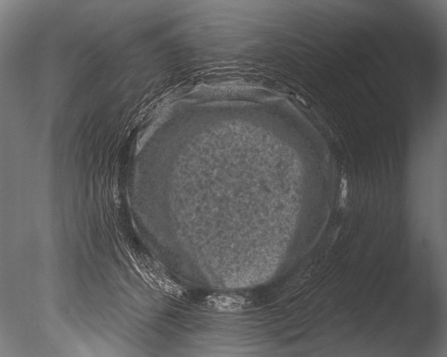 X0000085080512200703261302