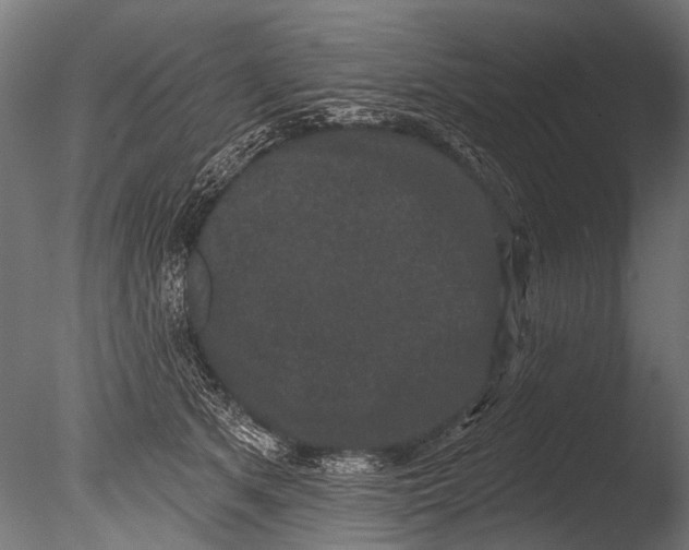 X0000085080513200703261301