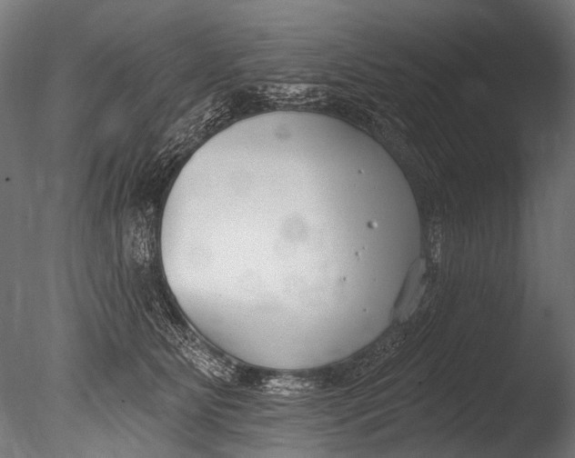 X0000085080515200703261301