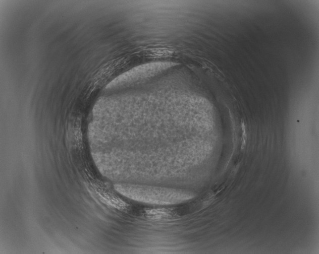 X0000085080516200703261301