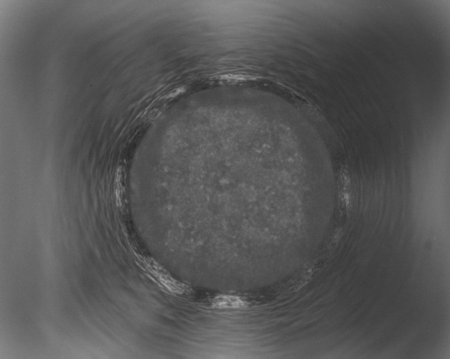 X0000085080519200703261301