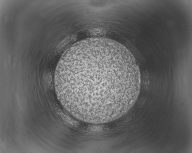 X0000085080523200703261301