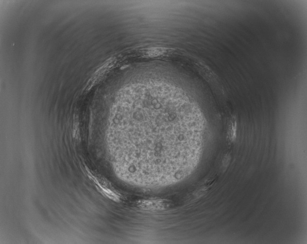 X0000085080524200703261301